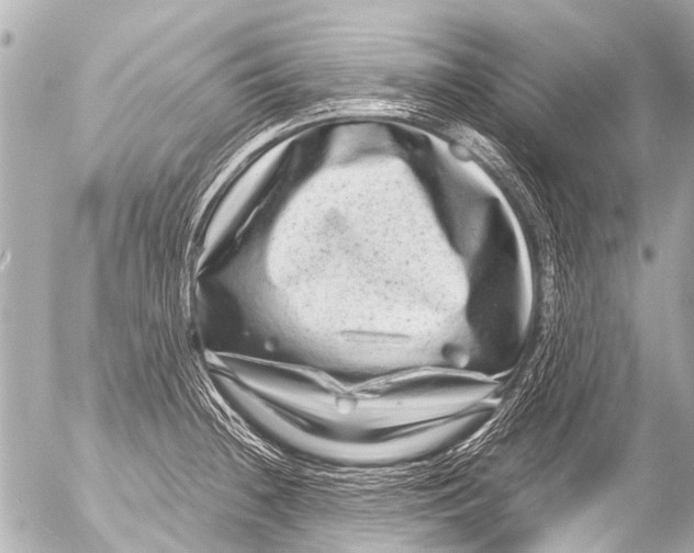 X0000054471236200508270121