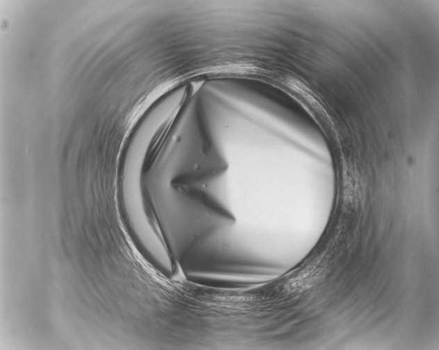 X0000054471237200508270121