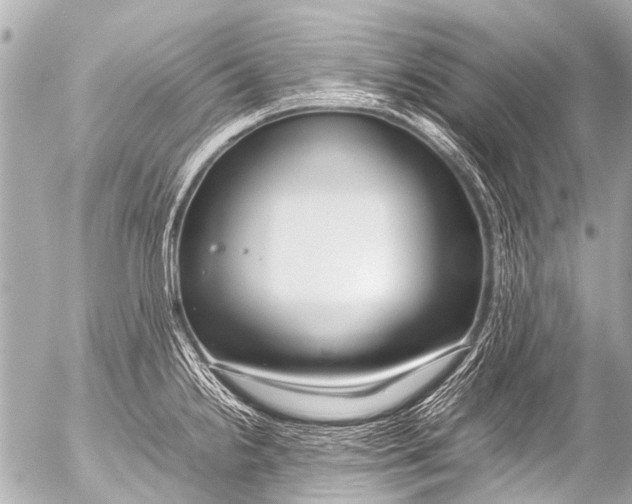 X0000054471238200508270121