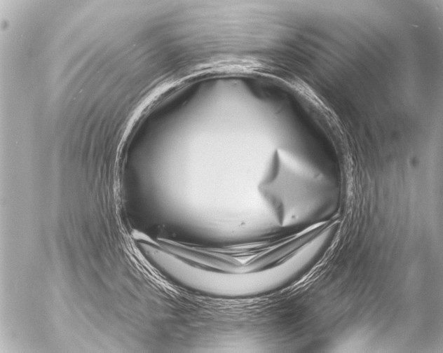 X0000054471240200508270121