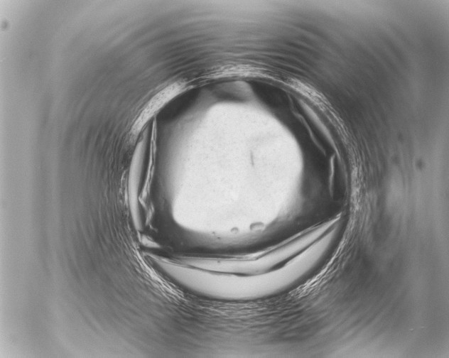 X0000054471241200508270121