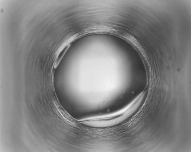 X0000054471242200508270121