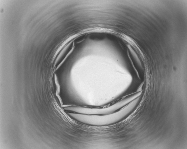 X0000054471244200508270121