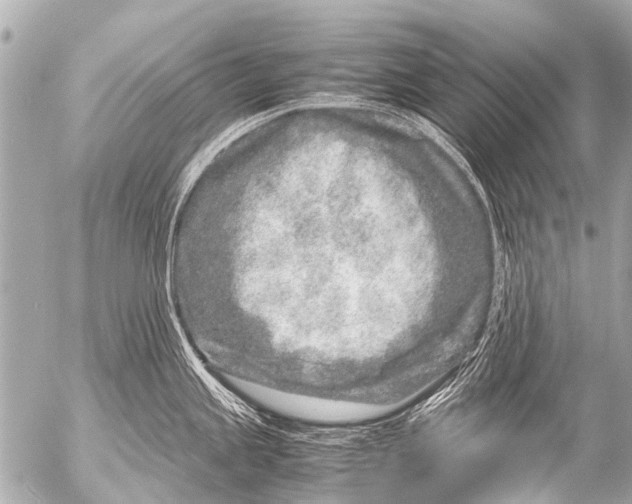 X0000054471245200508270121