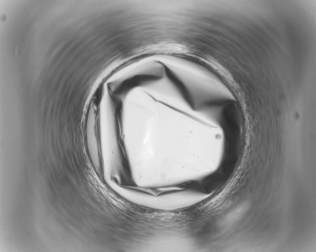 X0000054471248200508270121