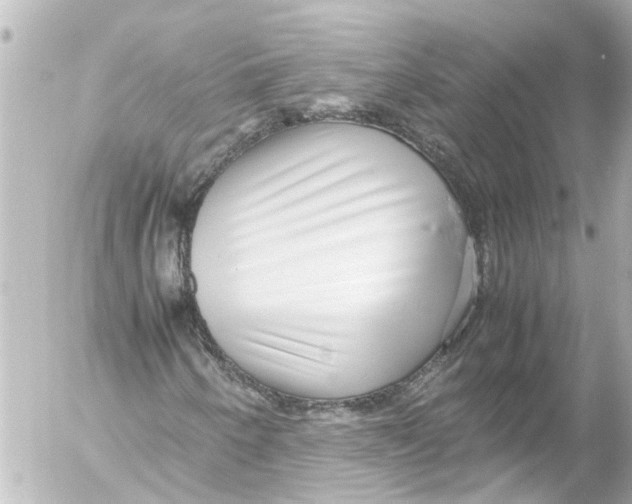 X0000054471250200508270121