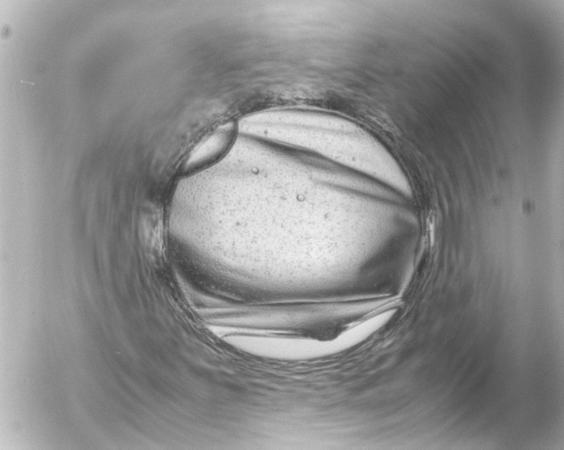 X0000054471251200508270121