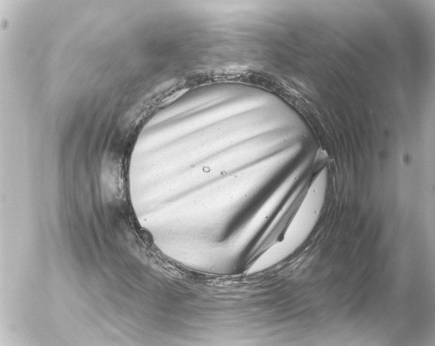 X0000054471252200508270121