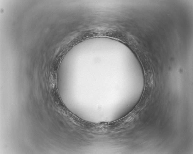 X0000054471253200508270120