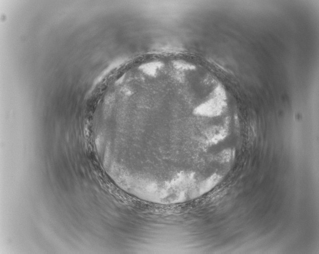 X0000054471254200508270120