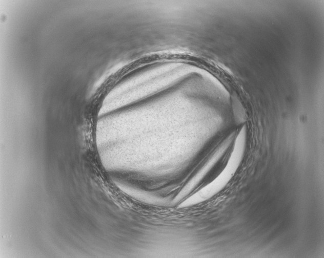 X0000054471255200508270120