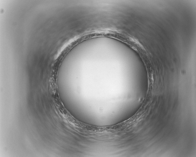 X0000054471256200508270120