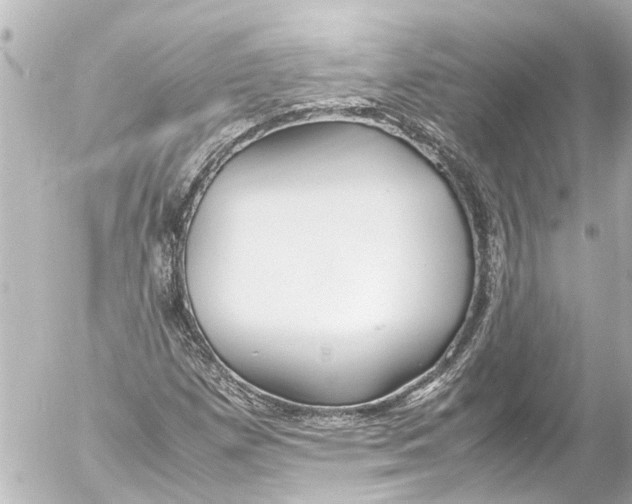 X0000054471257200508270120