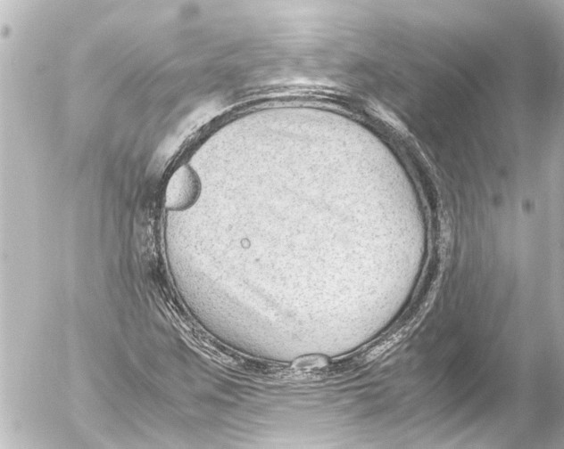 X0000054471259200508270120