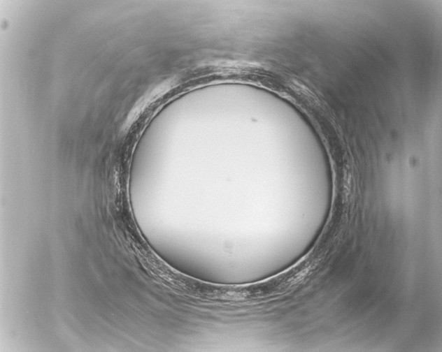 X0000054471261200508270120