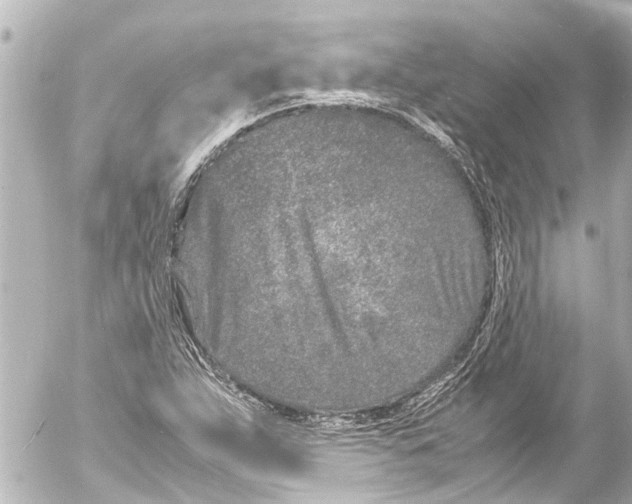 X0000054471263200508270120