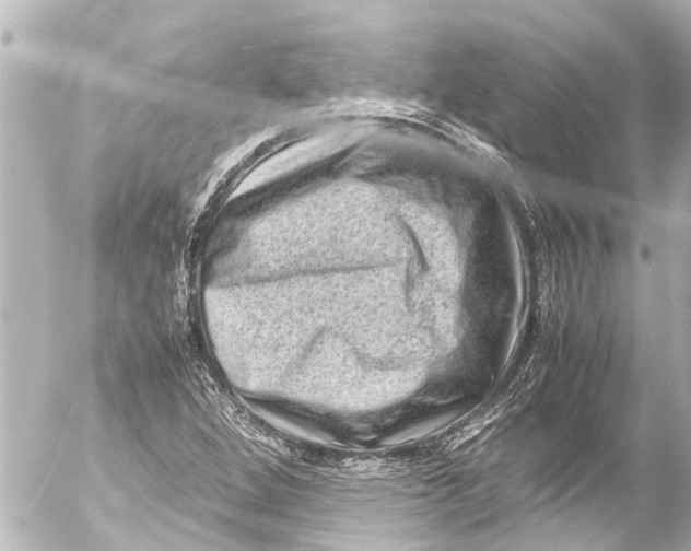 X0000054471264200508270120