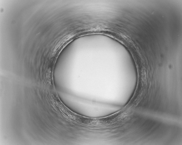 X0000054471265200508270120