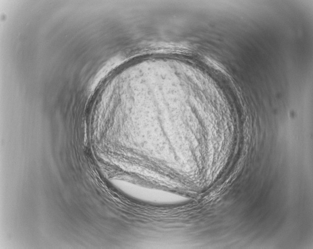 X0000054471267200508270120