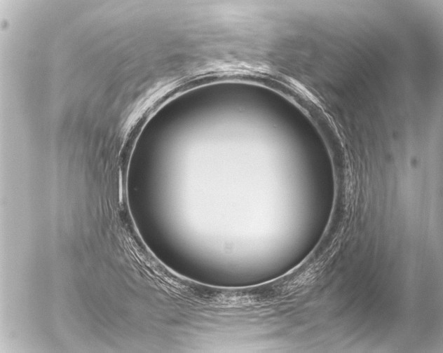 X0000054471269200508270120