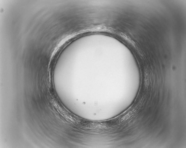 X0000054471270200508270120