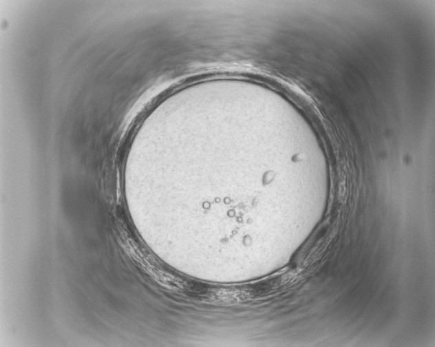 X0000054471271200508270120