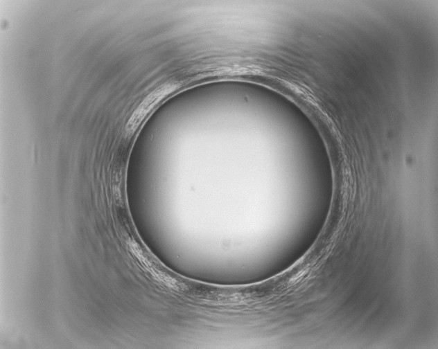 X0000054471273200508270120