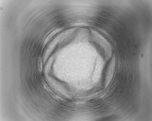 X0000054471274200508270120