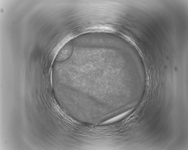 X0000054471275200508270120