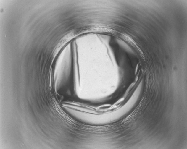 X0000054471276200508270120