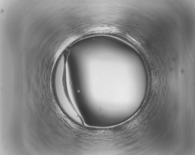 X0000054471277200508270120