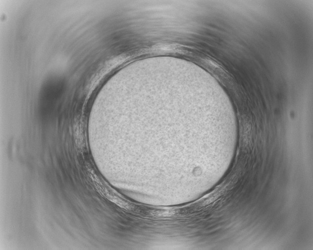 X0000054471278200508270120