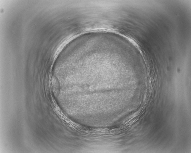 X0000054471279200508270120