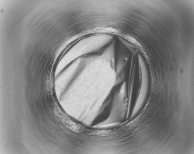 X0000054471280200508270120