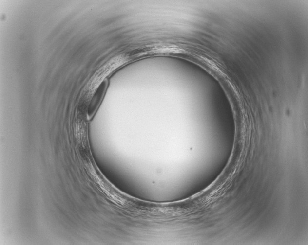 X0000054471281200508270120