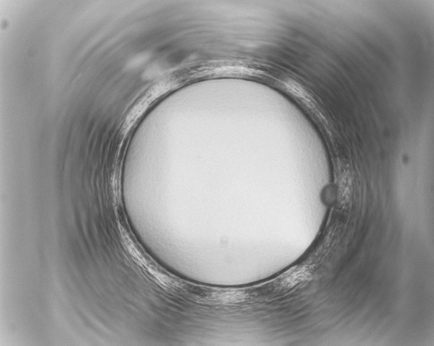 X0000054471282200508270120