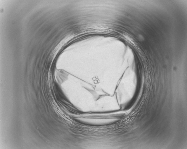 X0000054471283200508270120