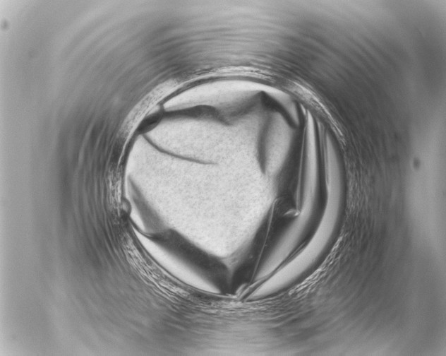 X0000054471284200508270120