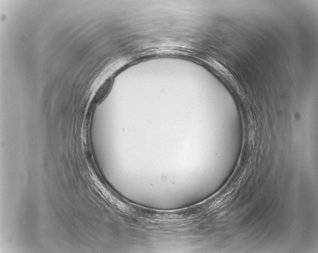 X0000054471285200508270120