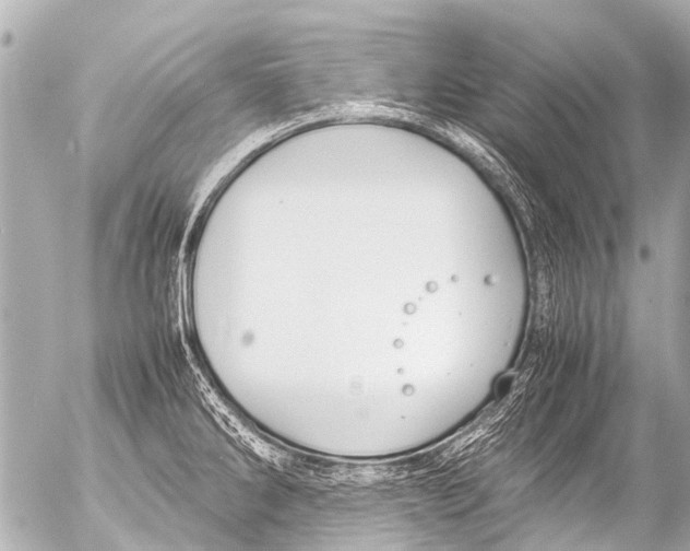 X0000054471286200508270120