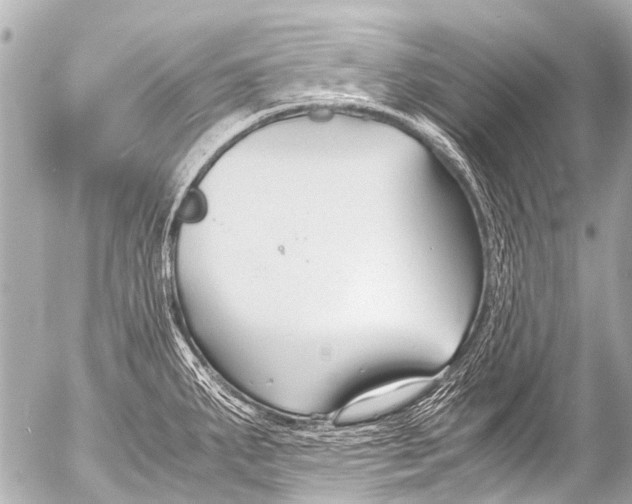 X0000054471287200508270120