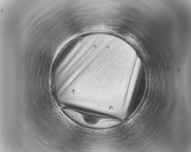 X0000054471288200508270120