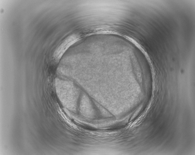 X0000054471289200508270120