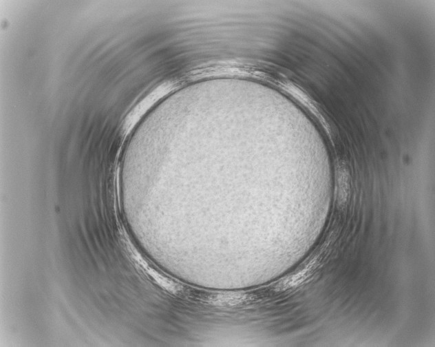 X0000054471290200508270120