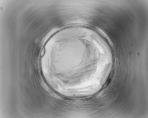 X0000054471291200508270120