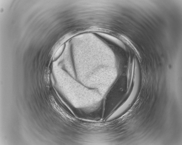 X0000054471292200508270120