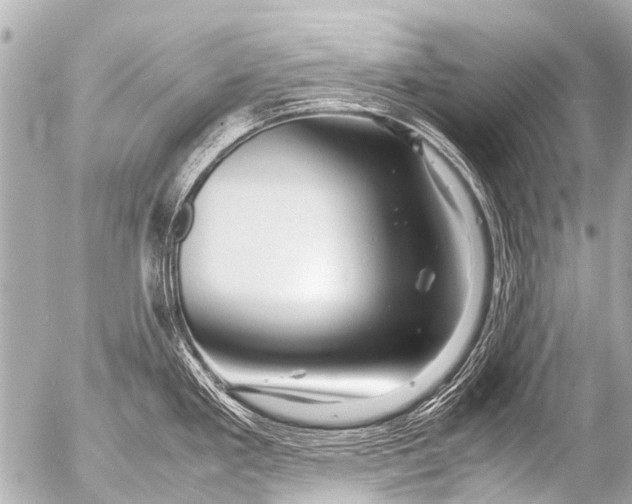 X0000054471293200508270120