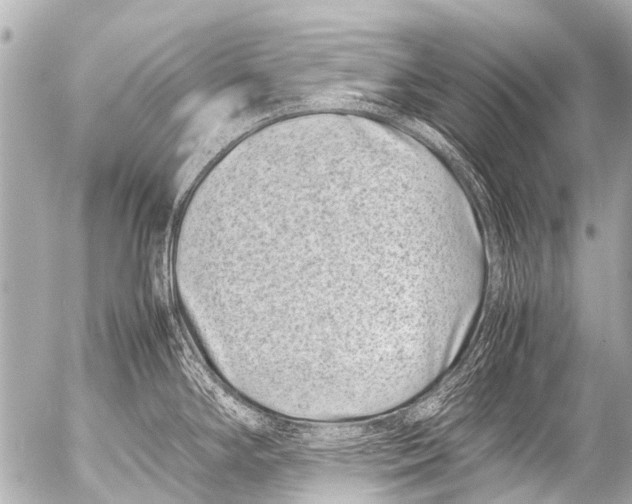 X0000054471294200508270120