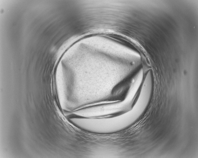 X0000054471295200508270120