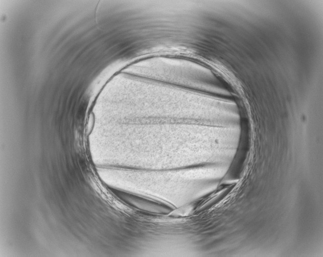 X0000054471296200508270120